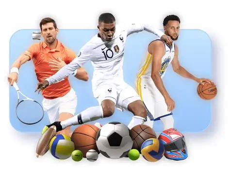 九游体育(中国)官方网站-APP官网入口-JIUYOU SPORTS