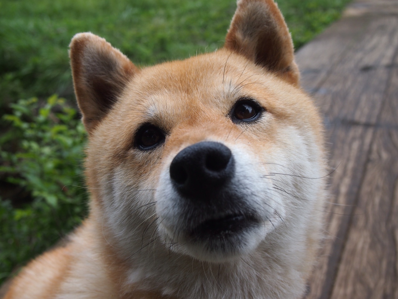 中国女篮全队积极应对挑战，中国女篮虽败犹荣