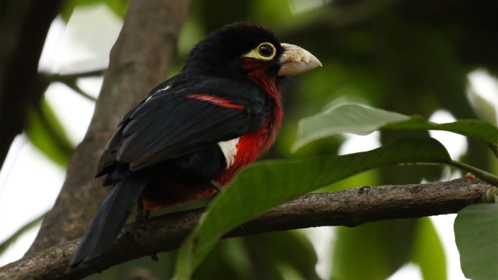 基层足球发展缺乏长效机制,足球训练存在的问题