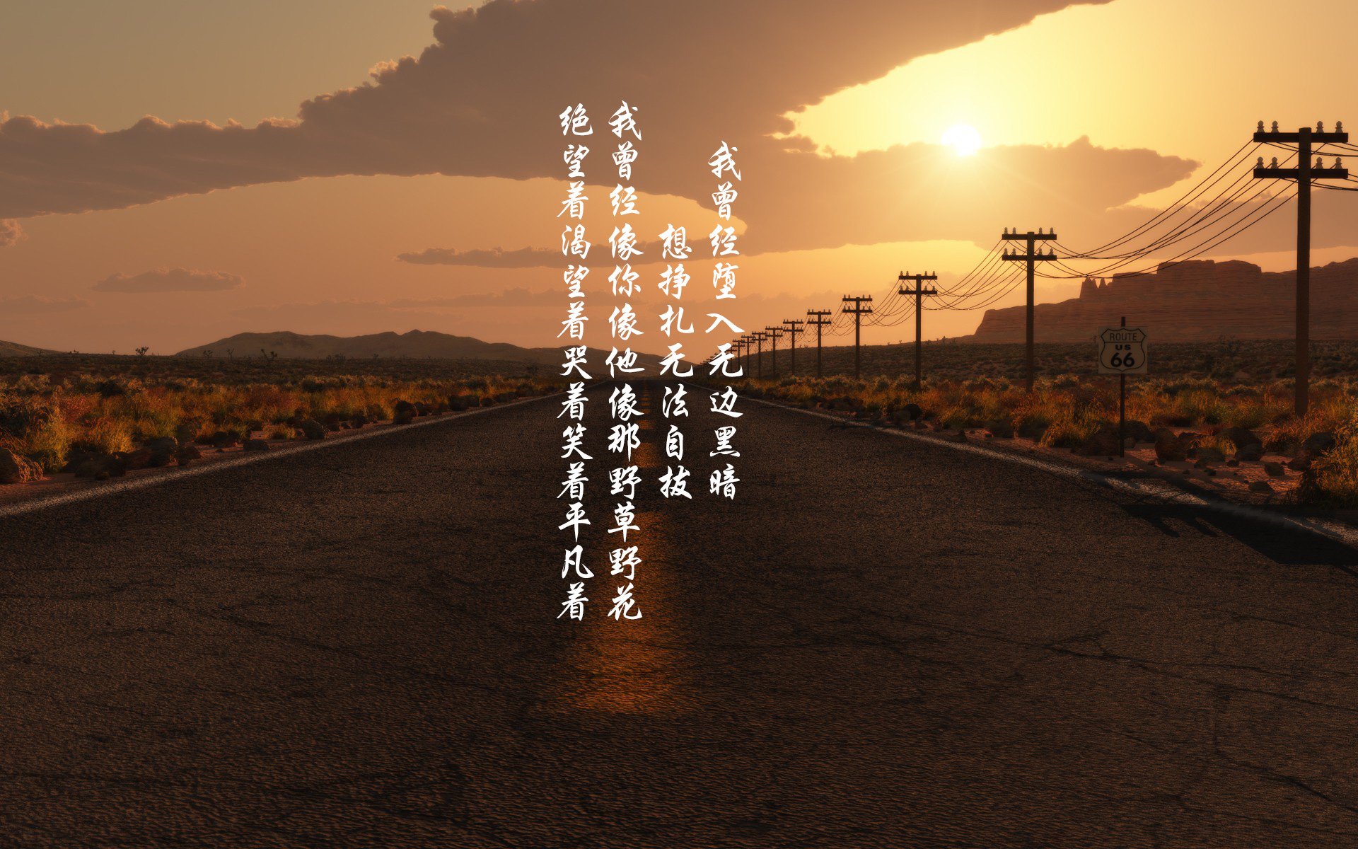 奥运马术项目中国选手首次晋级决赛，奥运马术中国选手名单