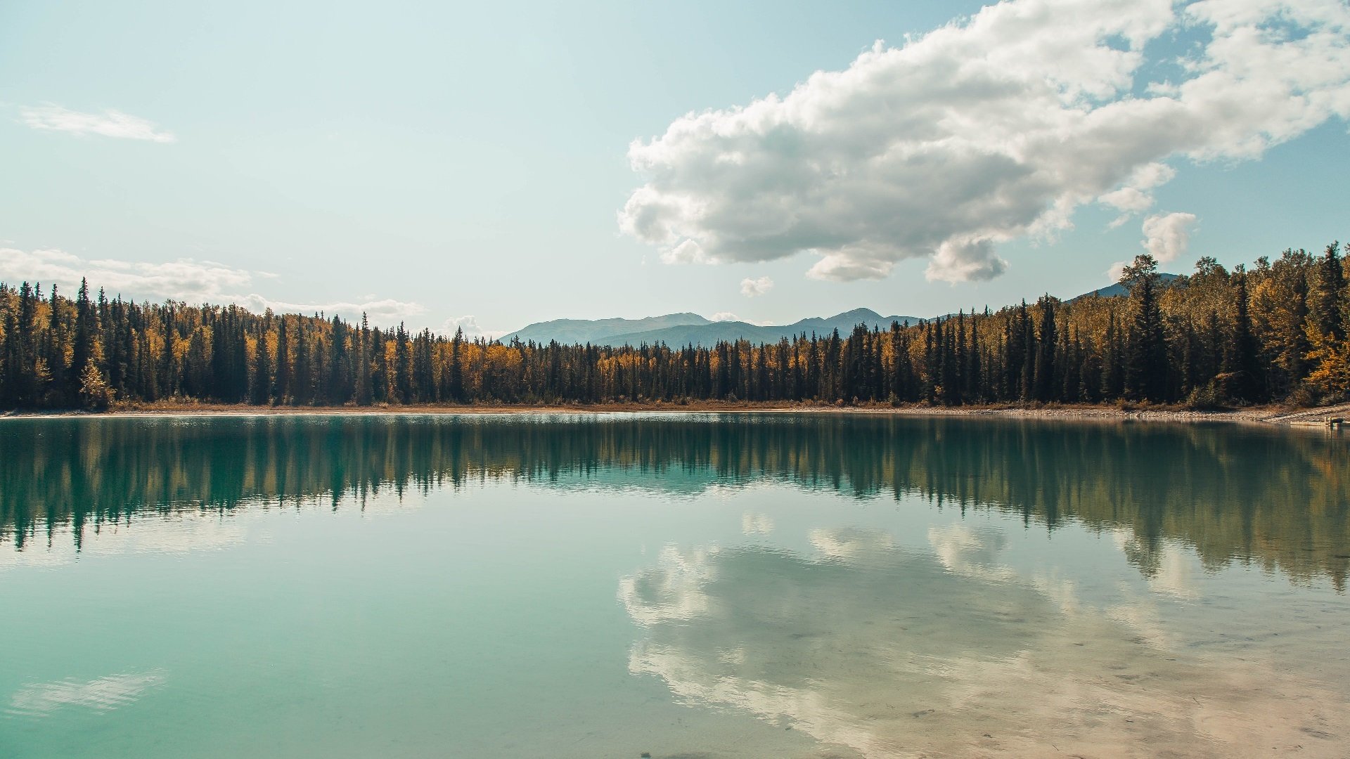 电竞青少年选拔赛火热进行中，青年电子竞技大赛