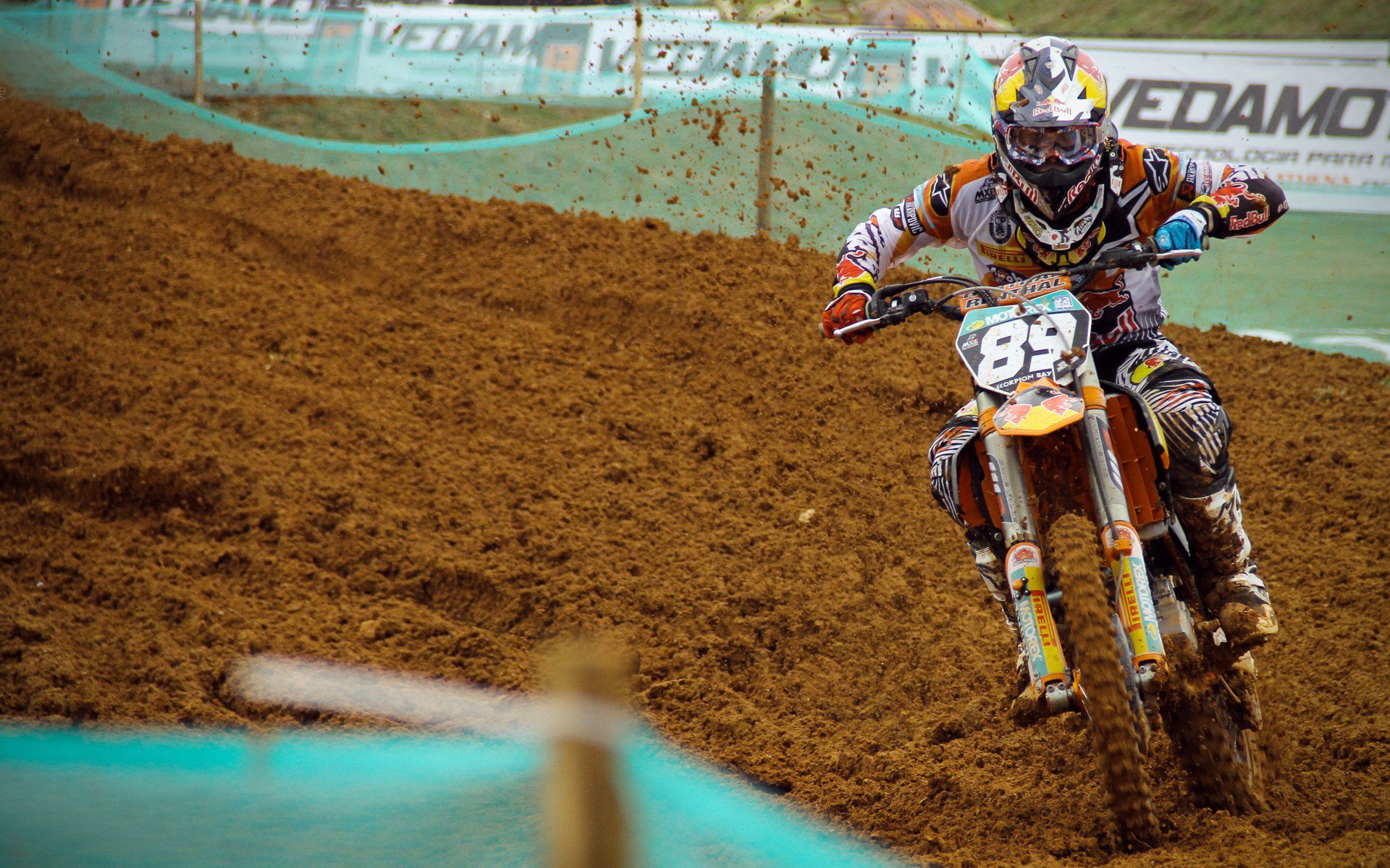 罗男子自由泳冲刺爆发惊艳泳池，男子自由泳运动员