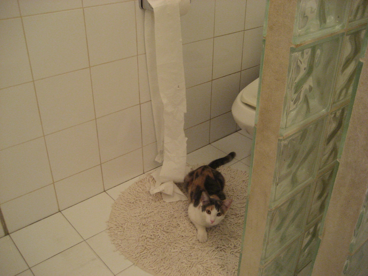 九游登录入口-足球青训营发展动态，足球青训营发展动态分析